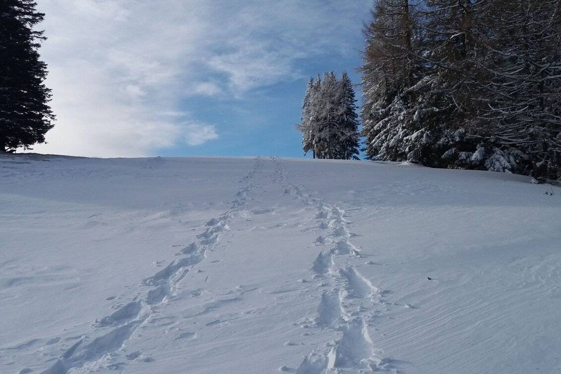 Snowshoe walking Schneeschuh-Runde am Brandkogel - Touren-Impression #1 | © Region Graz