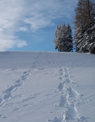 Schneeschuh-Runde am Brandkogel_Schneespuren | TV Lipizzanerheimat/EU | © Region Graz