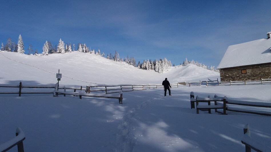Snowshoe walking Schneeschuh-Runde am Brandkogel - Touren-Impression #2.2 | © Region Graz
