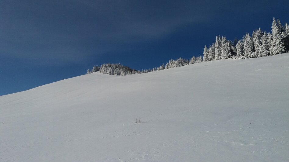Snowshoe walking Schneeschuh-Runde am Brandkogel - Touren-Impression #2.4 | © Region Graz