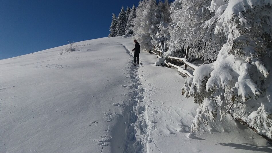 Snowshoe walking Schneeschuh-Runde am Brandkogel - Touren-Impression #2.6 | © Region Graz