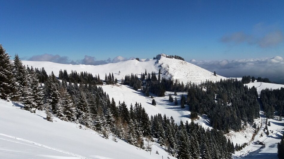 Snowshoe walking Schneeschuh-Runde am Brandkogel - Touren-Impression #2.11 | © Region Graz