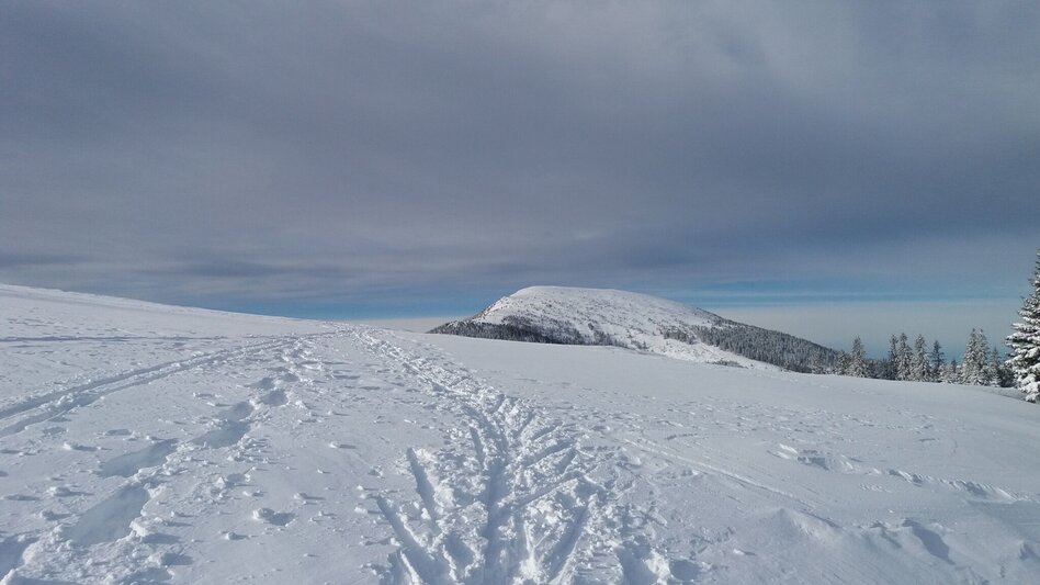 Snowshoe walking Schnee(lle) Stubalm-Runde - Touren-Impression #2.4 | © Region Graz