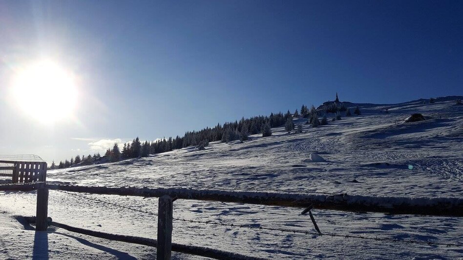 Snowshoe walking Schnee(lle) Stubalm-Runde - Touren-Impression #2.5 | © Zirbenland-Marketing