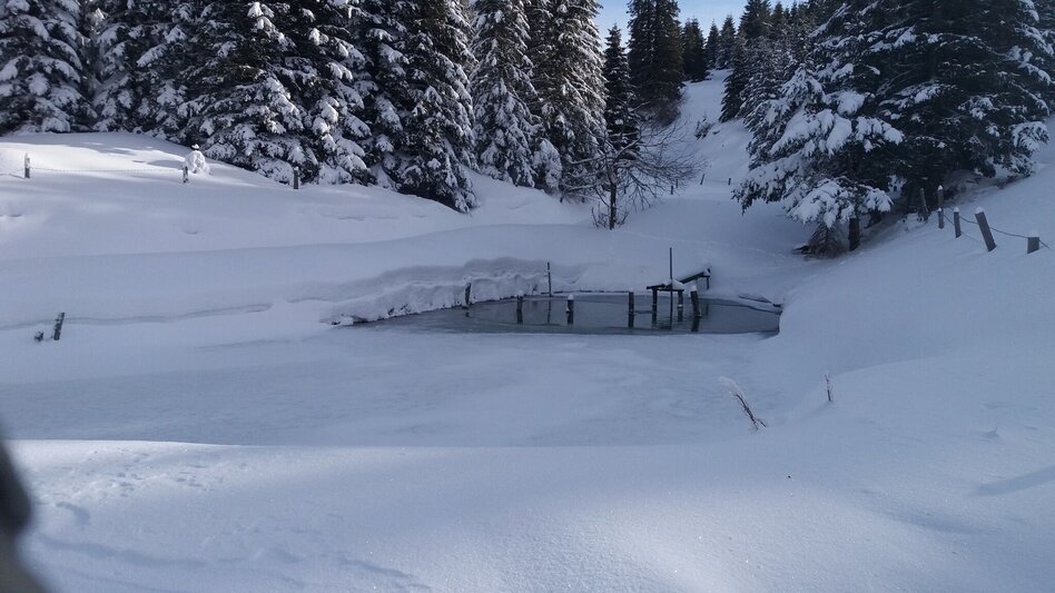 Snowshoe walking Schnee(lle) Stubalm-Runde - Touren-Impression #2.7 | © Region Graz