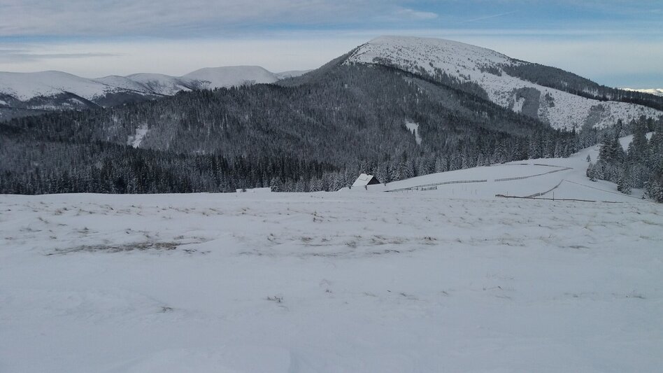 Snowshoe walking Schnee(lle) Stubalm-Runde - Touren-Impression #2.8 | © Region Graz