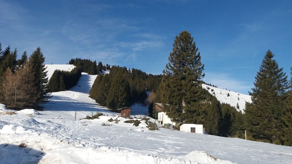 Snowshoe walking Unberührte Gaberl-Runde - Touren-Impression #2.1 | © Region Graz