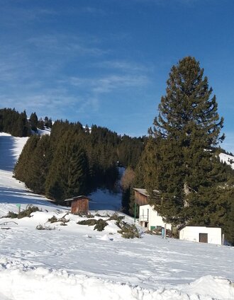 Unberührte Gaberl-Runde: Beim Start auf der Wiedneralm | TV Lipizzanerheimat/EU | © Region Graz