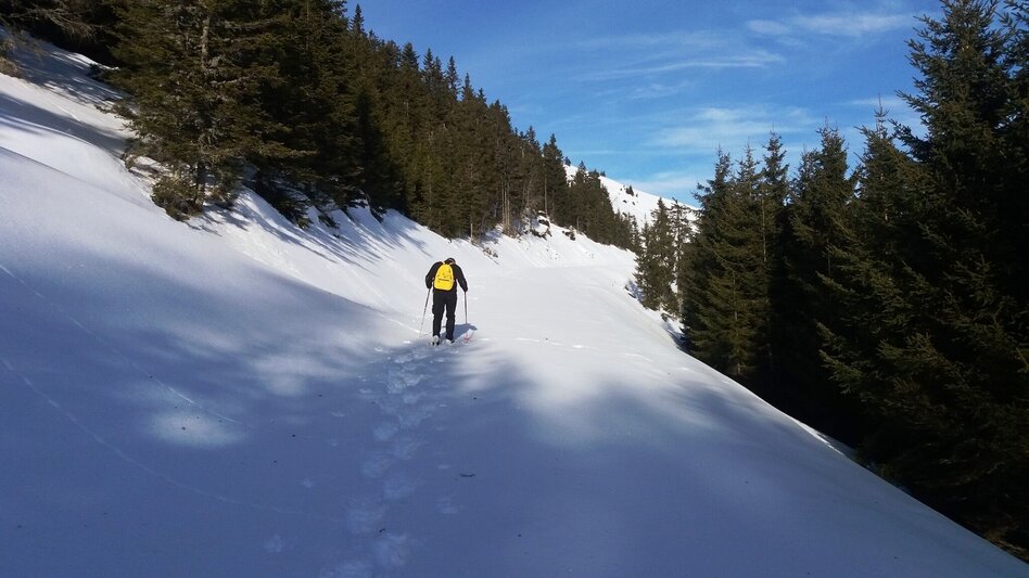 Snowshoe walking Unberührte Gaberl-Runde - Touren-Impression #2.2 | © Region Graz