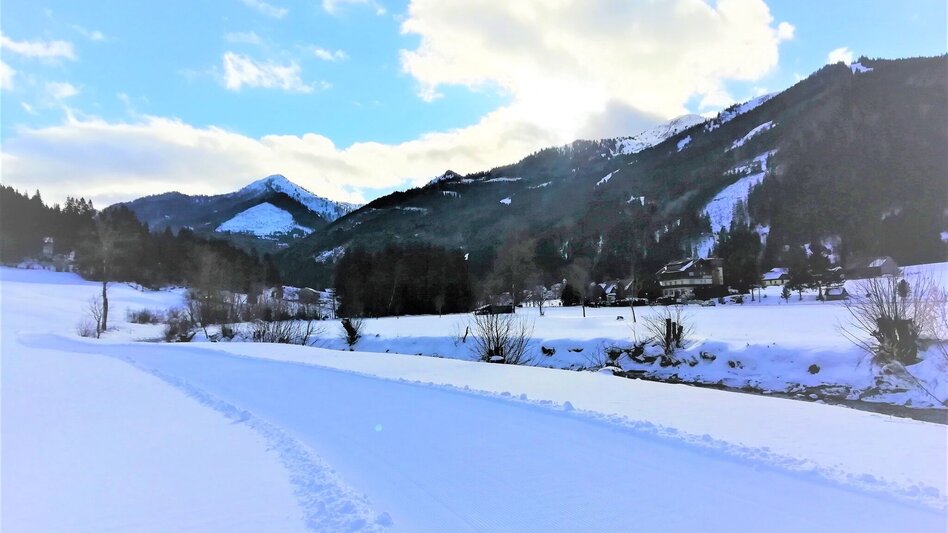 Langlauf Skating Loipe Vorderwald - Touren-Impression #2.1 | © Erlebnisregion Schladming-Dachstein