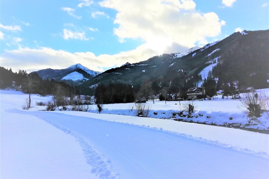 Langlauf Skating Loipe Vorderwald - Touren-Impression #1 | © Erlebnisregion Schladming-Dachstein