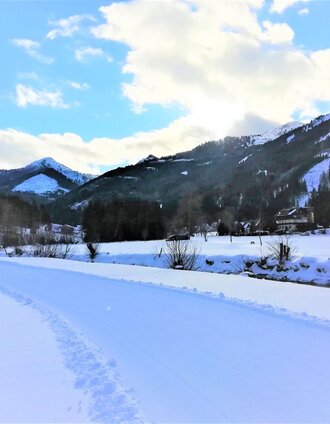 Entlang des Baches auf der Loipe Vorderwald | © Erlebnisregion Schladming-Dachstein