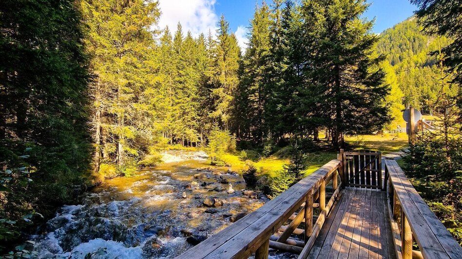 Hiking route Power place hike 4: Lake Etrachsee - Touren-Impression #2.2 | © Tourismusverband Murau