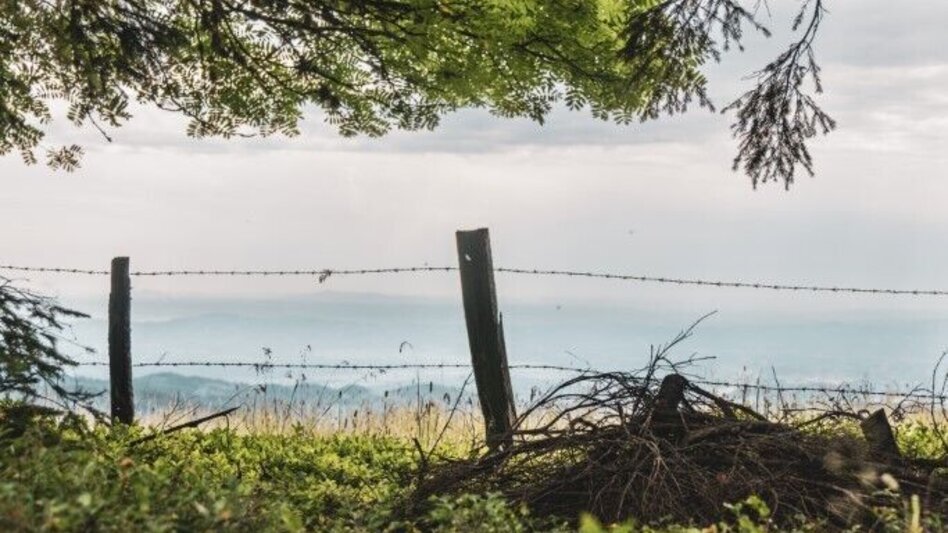 Hiking route Glashütten Rundweg – Tour 38 lt. WK „Von der Alm zum Wein“ - Touren-Impression #2.3 | © TV Südsteiermark/Silvan