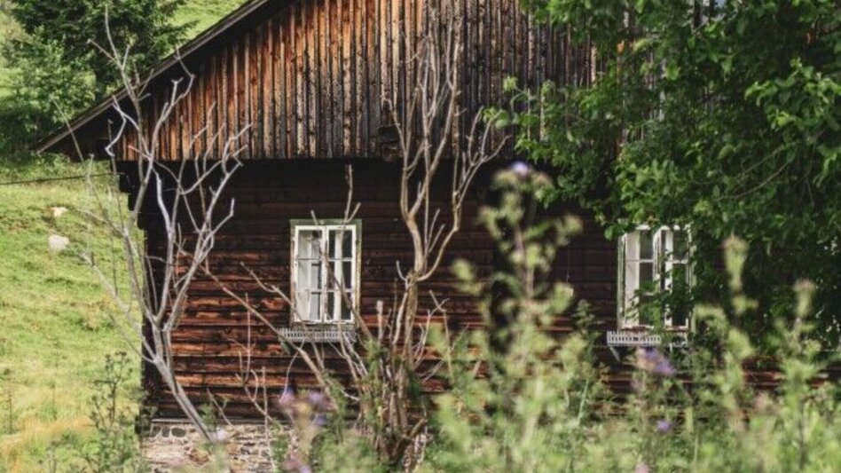 Hiking route Glashütten Rundweg – Tour 38 lt. WK „Von der Alm zum Wein“ - Touren-Impression #2.7 | © TV Südsteiermark/Silvan