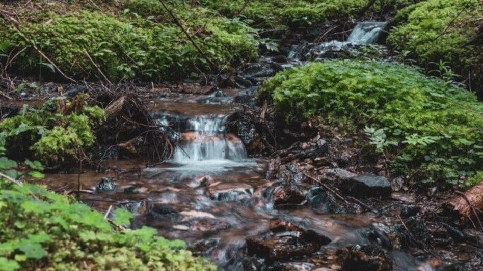 Hiking route Glashütten Rundweg – Tour 38 lt. WK „Von der Alm zum Wein“ - Touren-Impression #2.8 | © TV Südsteiermark/Silvan