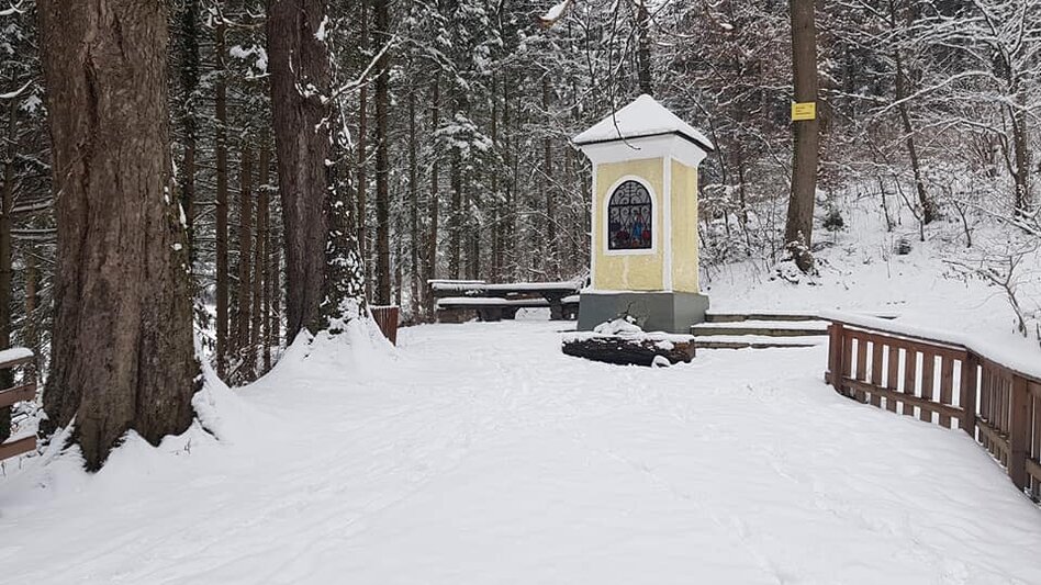Nordic Walking Kleine Peggauer Rundwanderung - Touren-Impression #2.5 | © Region Graz