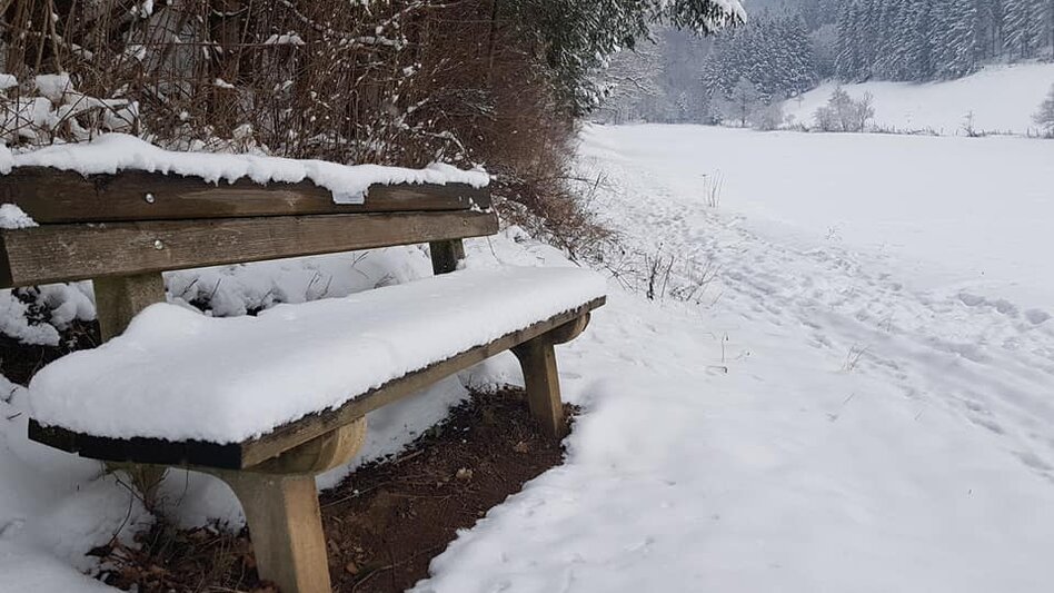 Nordic Walking Kleine Peggauer Rundwanderung - Touren-Impression #2.6 | © Region Graz