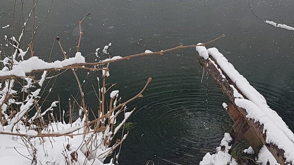 Nordic Walking Kleine Peggauer Rundwanderung - Touren-Impression #2.7 | © Region Graz