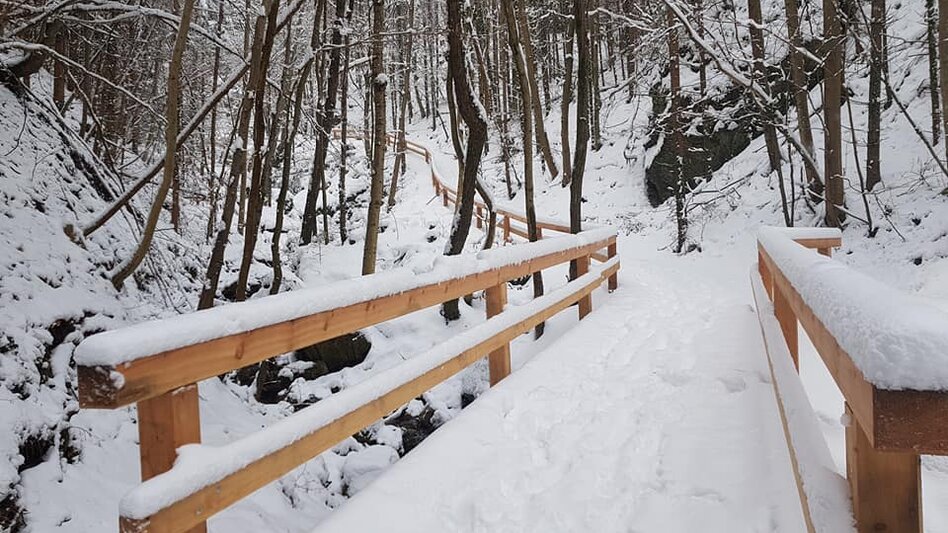 Nordic Walking Kleine Peggauer Rundwanderung - Touren-Impression #2.9 | © Region Graz