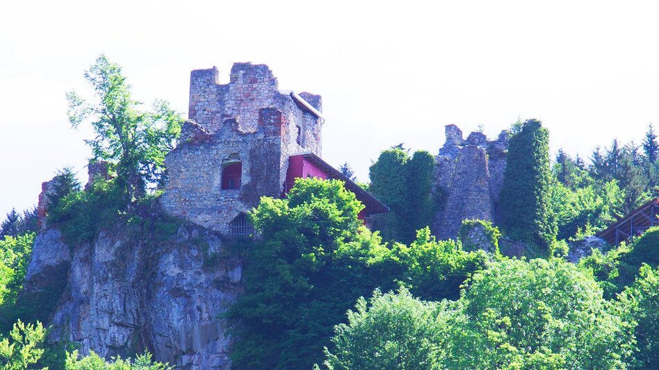 Nordic Walking Kleine Peggauer Rundwanderung - Touren-Impression #2.10 | © Region Graz