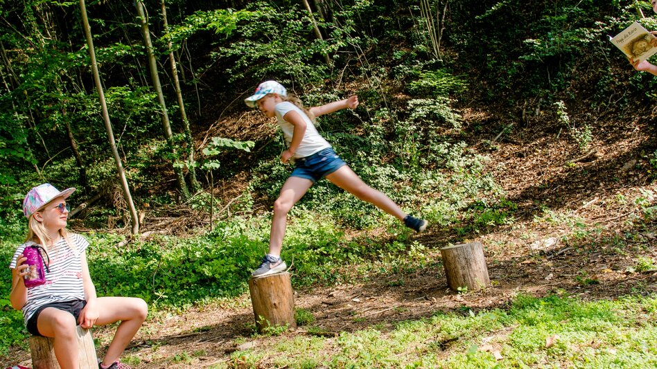 Nordic Walking Kleine Peggauer Rundwanderung - Touren-Impression #2.13 | © Region Graz