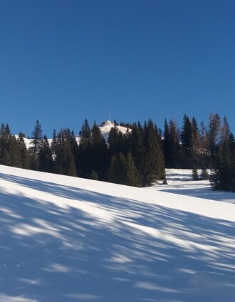 Krugmoar-Runde: Blick Richtung Brandkogelkreuz | TV Lipizzanerheimat/EU | © Region Graz