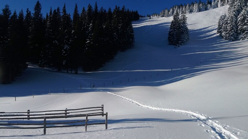 Snowshoe walking Krugmoar-Runde - Touren-Impression #2.2 | © Region Graz