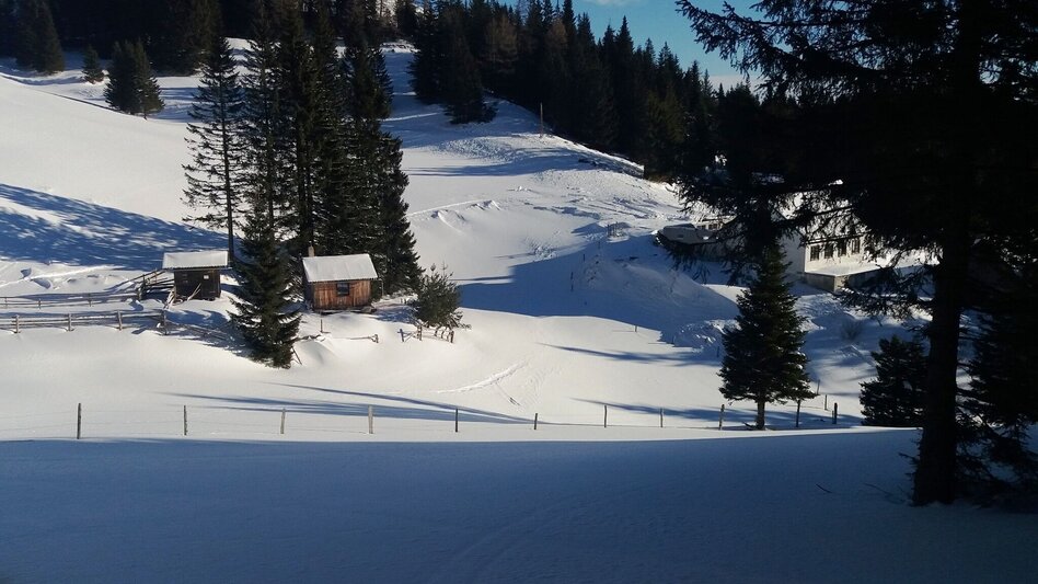 Snowshoe walking Krugmoar-Runde - Touren-Impression #2.3 | © Region Graz