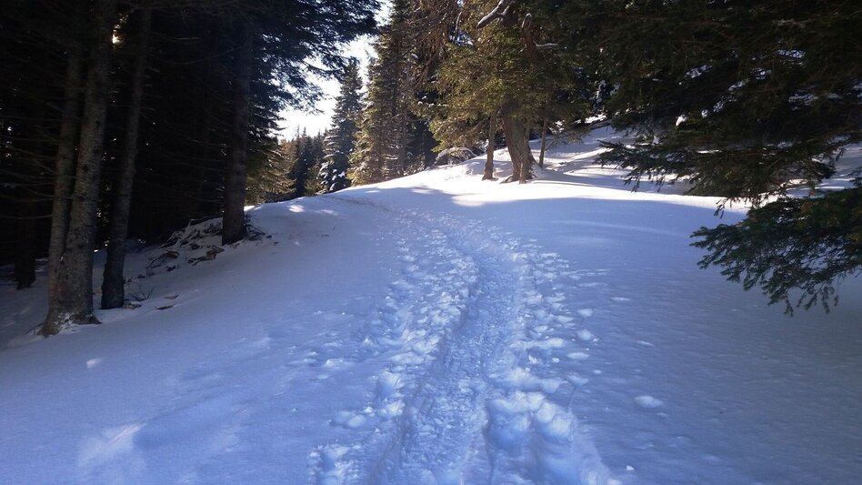 Snowshoe walking Krugmoar-Runde - Touren-Impression #2.4 | © Region Graz