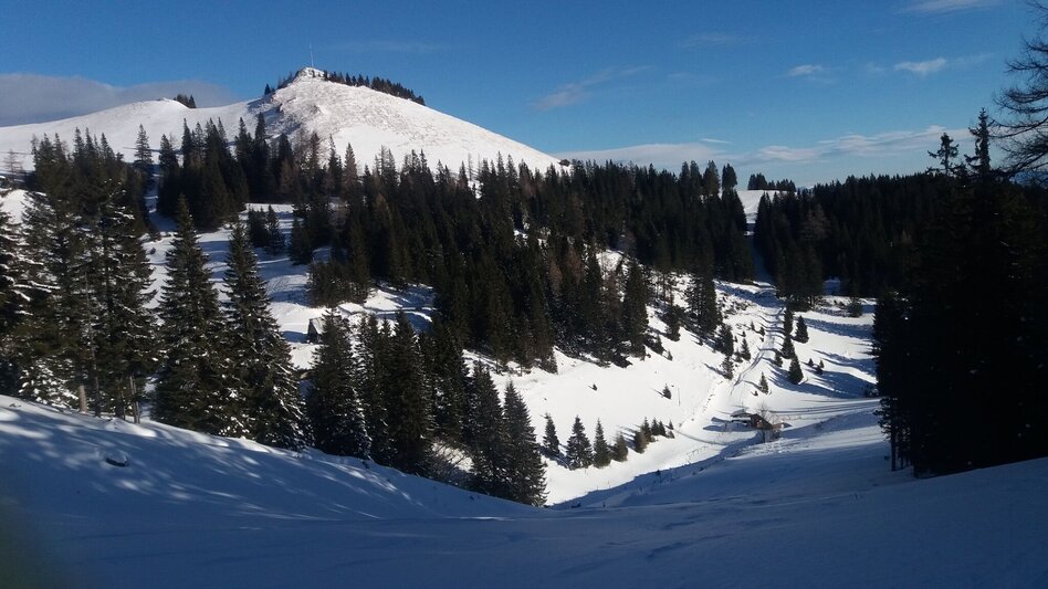 Snowshoe walking Krugmoar-Runde - Touren-Impression #2.6 | © Region Graz