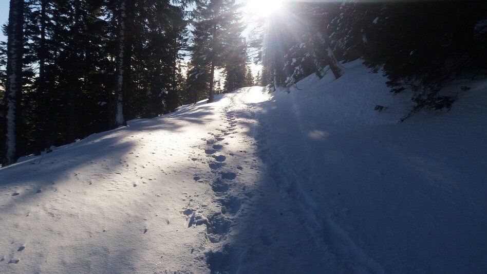 Snowshoe walking Krugmoar-Runde - Touren-Impression #2.7 | © Region Graz