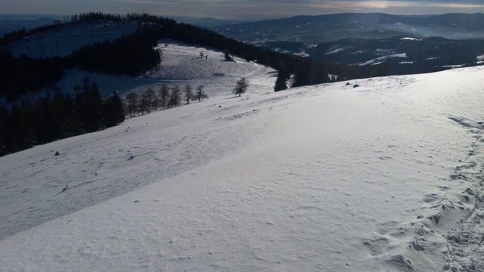 Snowshoe walking Krugmoar-Runde - Touren-Impression #2.8 | © Region Graz
