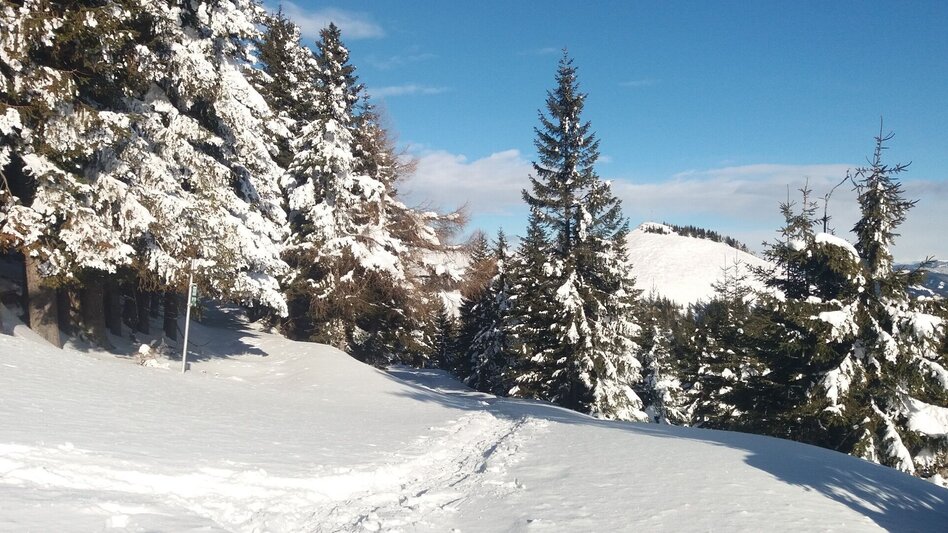 Snowshoe walking Krugmoar-Runde - Touren-Impression #2.9 | © Region Graz