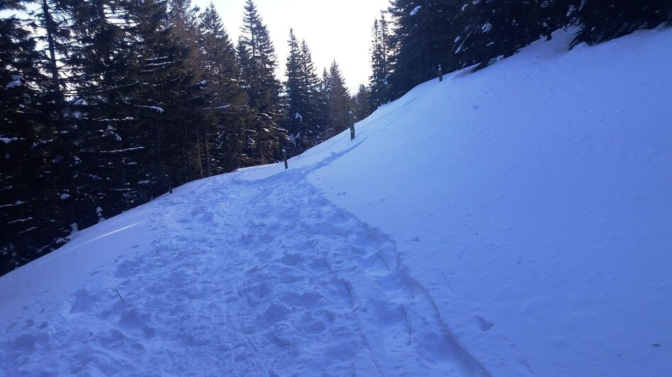 Snowshoe walking Krugmoar-Runde - Touren-Impression #2.10 | © Region Graz