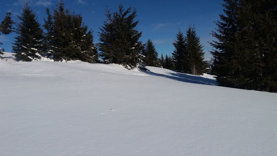 Snowshoe walking Krugmoar-Runde - Touren-Impression #2.11 | © Region Graz