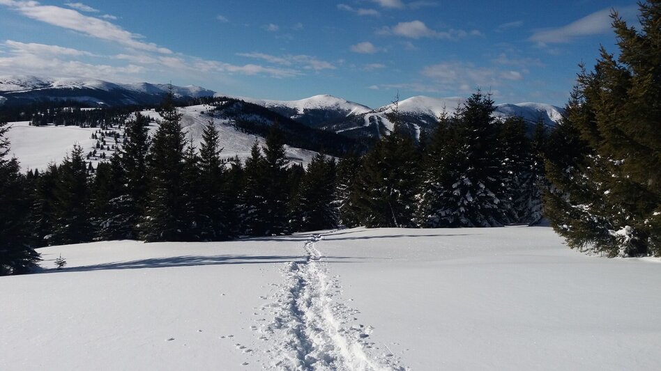 Snowshoe walking Krugmoar-Runde - Touren-Impression #2.13 | © Region Graz