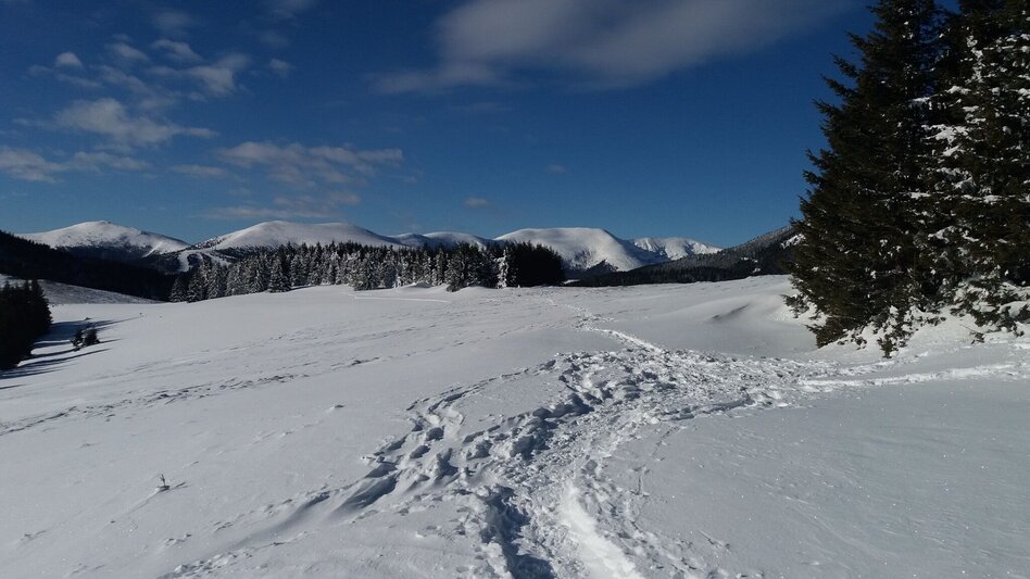 Snowshoe walking Krugmoar-Runde - Touren-Impression #2.14 | © Region Graz