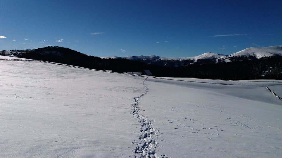 Snowshoe walking Krugmoar-Runde - Touren-Impression #2.16 | © Region Graz