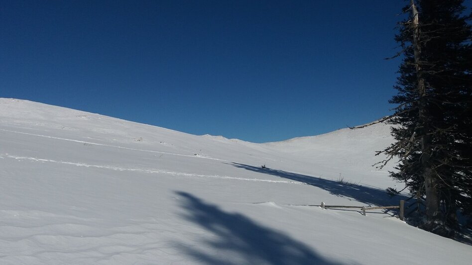 Snowshoe walking Krugmoar-Runde - Touren-Impression #2.17 | © Region Graz