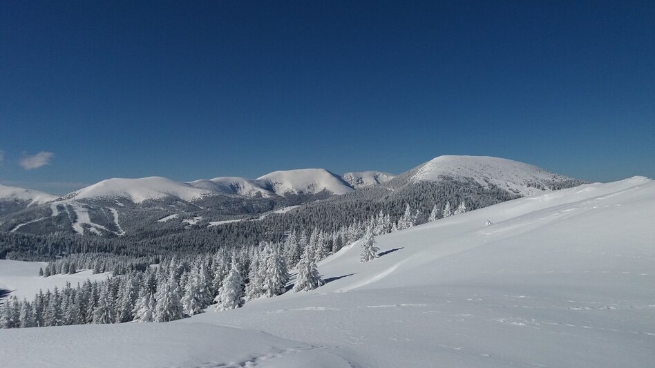 Snowshoe walking Krugmoar-Runde - Touren-Impression #2.18 | © Region Graz