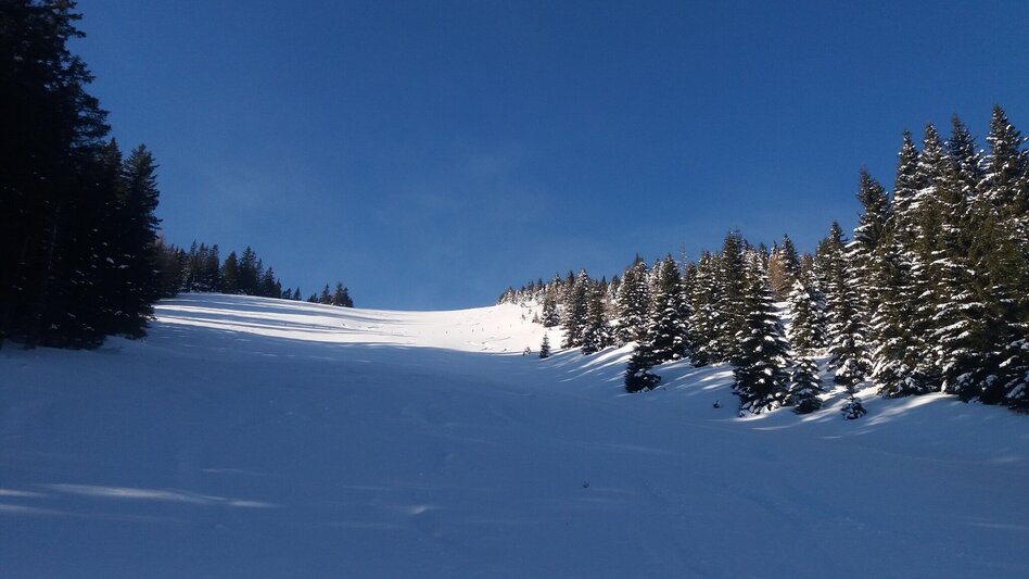 Snowshoe walking Krugmoar-Runde - Touren-Impression #2.5 | © Region Graz