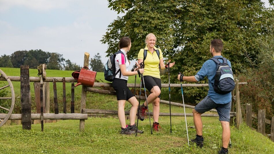 Hiking route Nabelschnur - Auf den Spuren der Vulkane - Touren-Impression #2.6 | © Erlebnisregion Thermen- & Vulkanland