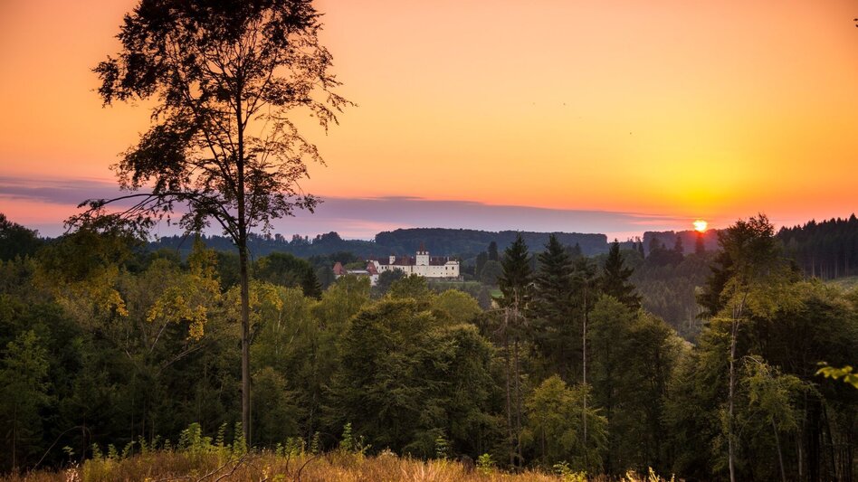 Radfahren Hexentour FB3 - Touren-Impression #2.5 | © Thermen- & Vulkanland