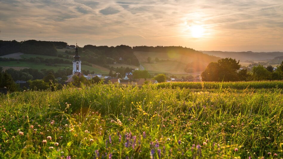 Bike Riding FB6 Hill Tour Thermal & Volcanic Land Styria (FB6 Hügeltour Thermen- & Vulkanland Steiermark) - Touren-Impression #2.4 | © Thermen- & Vulkanland