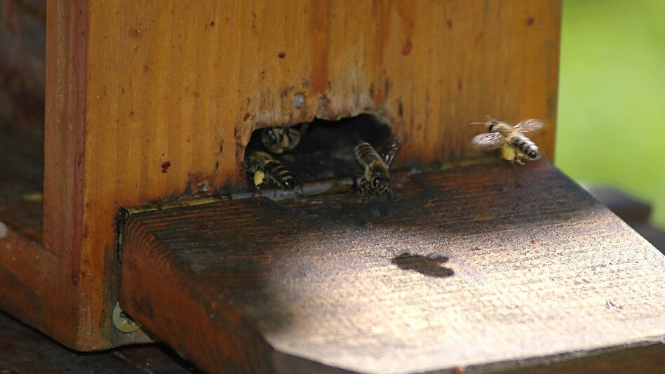 Bike Riding FB6 Hill Tour Thermal & Volcanic Land Styria (FB6 Hügeltour Thermen- & Vulkanland Steiermark) - Touren-Impression #2.9 | © Thermen- & Vulkanland