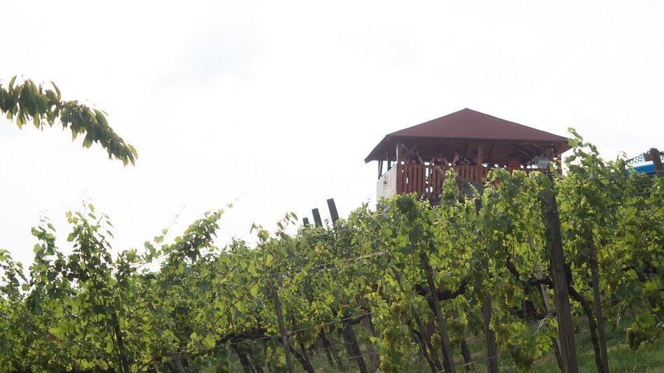 Bike Riding FB8 Auland Tour Thermal & Volcanic Land Styria (FB8 Aulandtour Thermen- & Vulkanland Steiermark) - Touren-Impression #2.8 | © Thermen- & Vulkanland