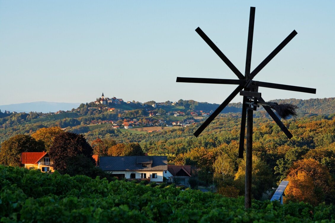 Radfahren FB5 Weintour  Thermen- & Vulkanland Steiermark - Touren-Impression #1 | © Thermen- & Vulkanland