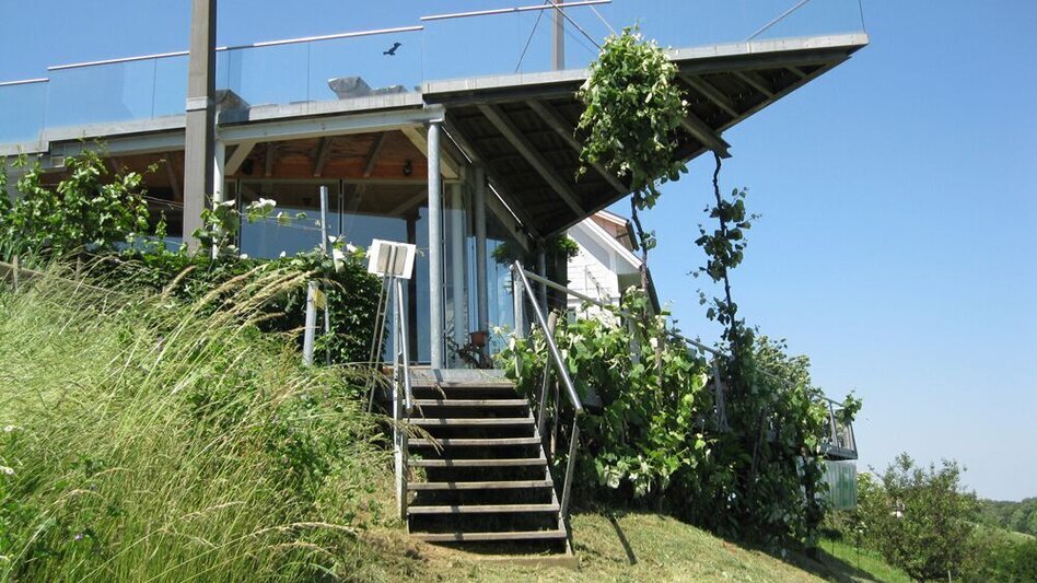 Radfahren FB5 Weintour  Thermen- & Vulkanland Steiermark - Touren-Impression #2.9 | © Thermen- & Vulkanland