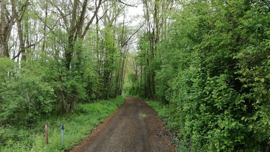 Radfahren FB5 Weintour  Thermen- & Vulkanland Steiermark - Touren-Impression #2.7 | © Thermen- & Vulkanland